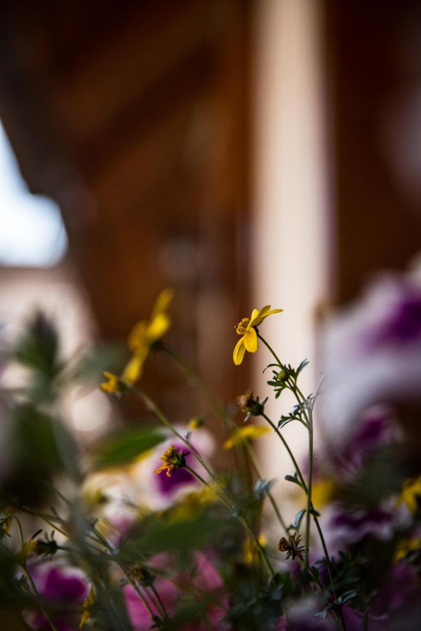 Zalaszentgrót Fiaker Panzio Bed & Breakfast エクステリア 写真